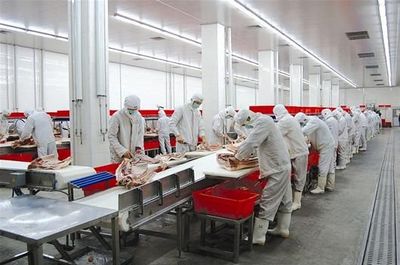 圖文:東西湖成武漢人的“大廚房”